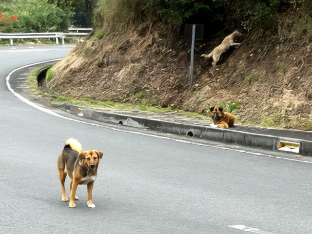 045-topaz-low resolution-640w.jpg