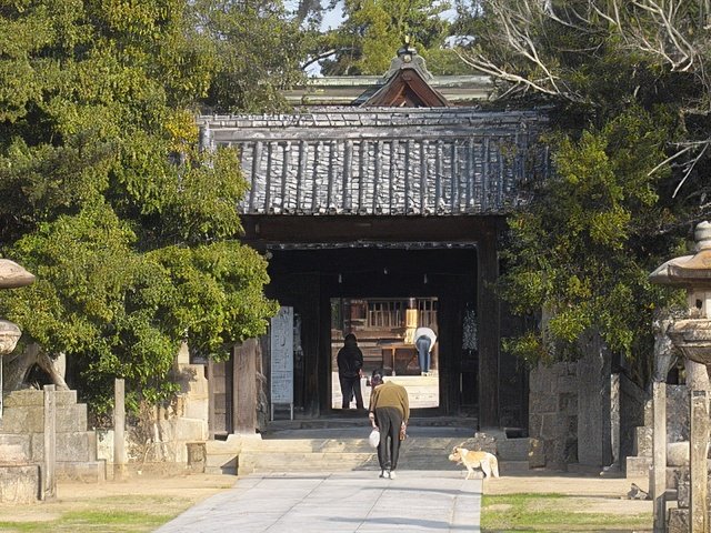 RIMG10128-topaz-standard v2-640w.jpg