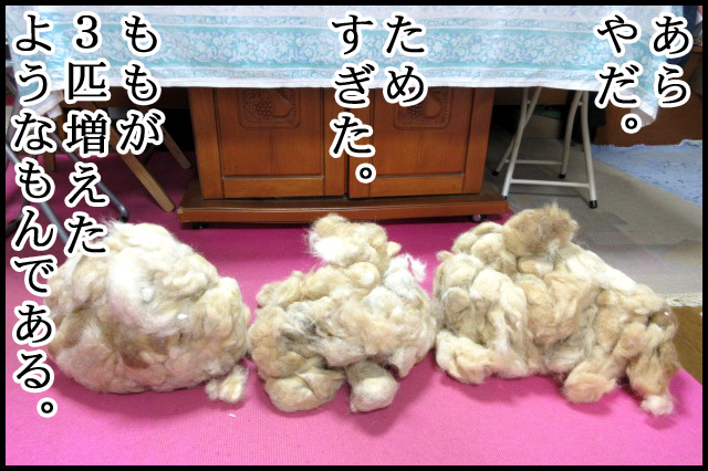 a08.jpg