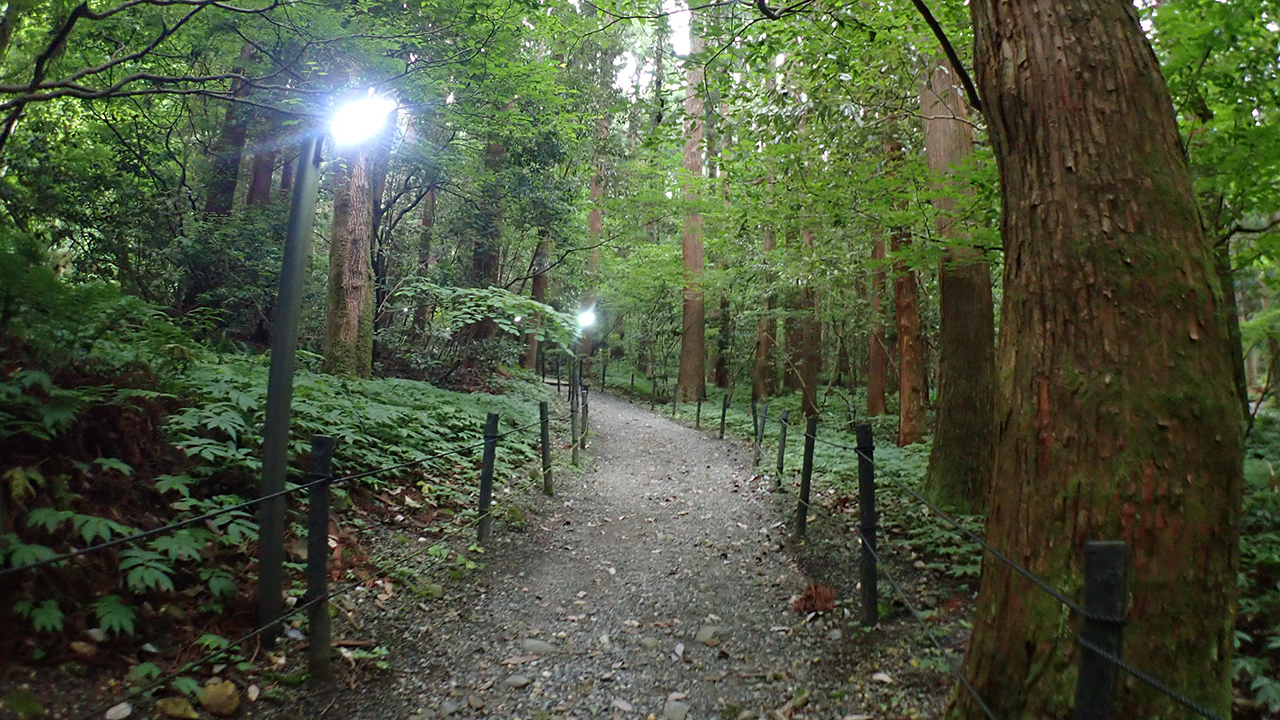 P6282959.jpg