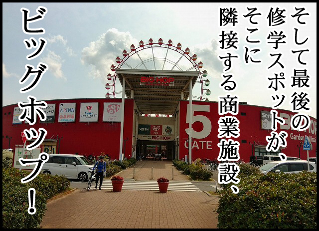 d01.jpg