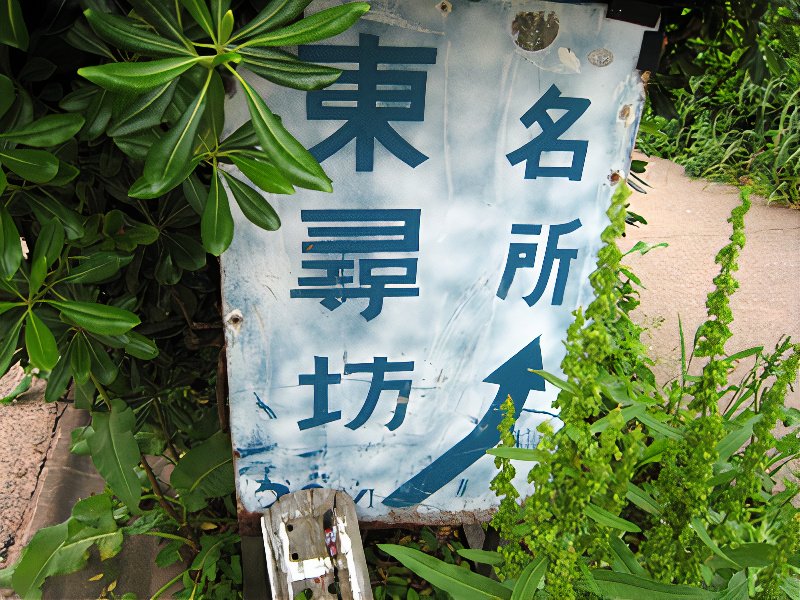 0008_photos_v2_x2.jpg
