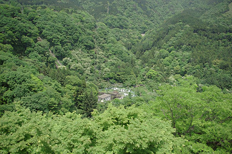 IMGP9068_photos_v2_x2.jpg