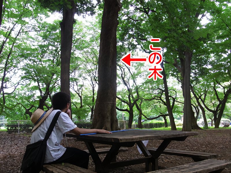 27_photos_v2_x2.jpg