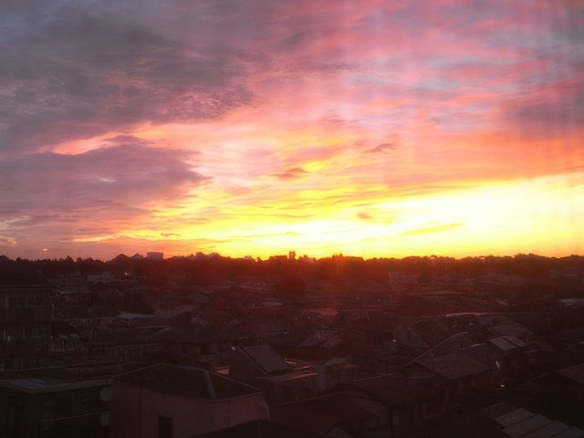 RIMG7892-topaz-standard v2-640w.jpg