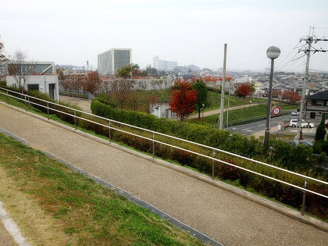 024-topaz-standard v2-640w.jpg