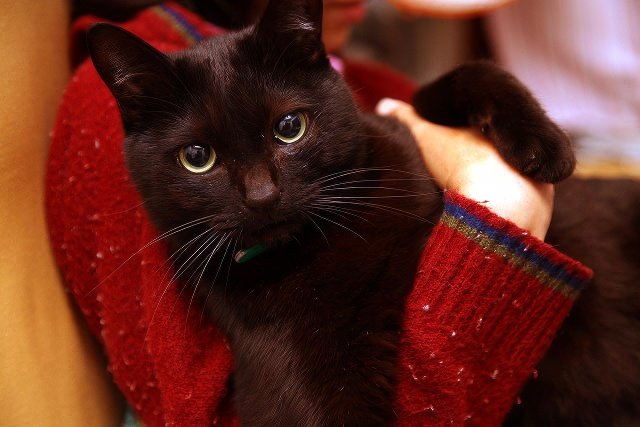 IMG_5122-topaz-standard v2-640w.jpeg