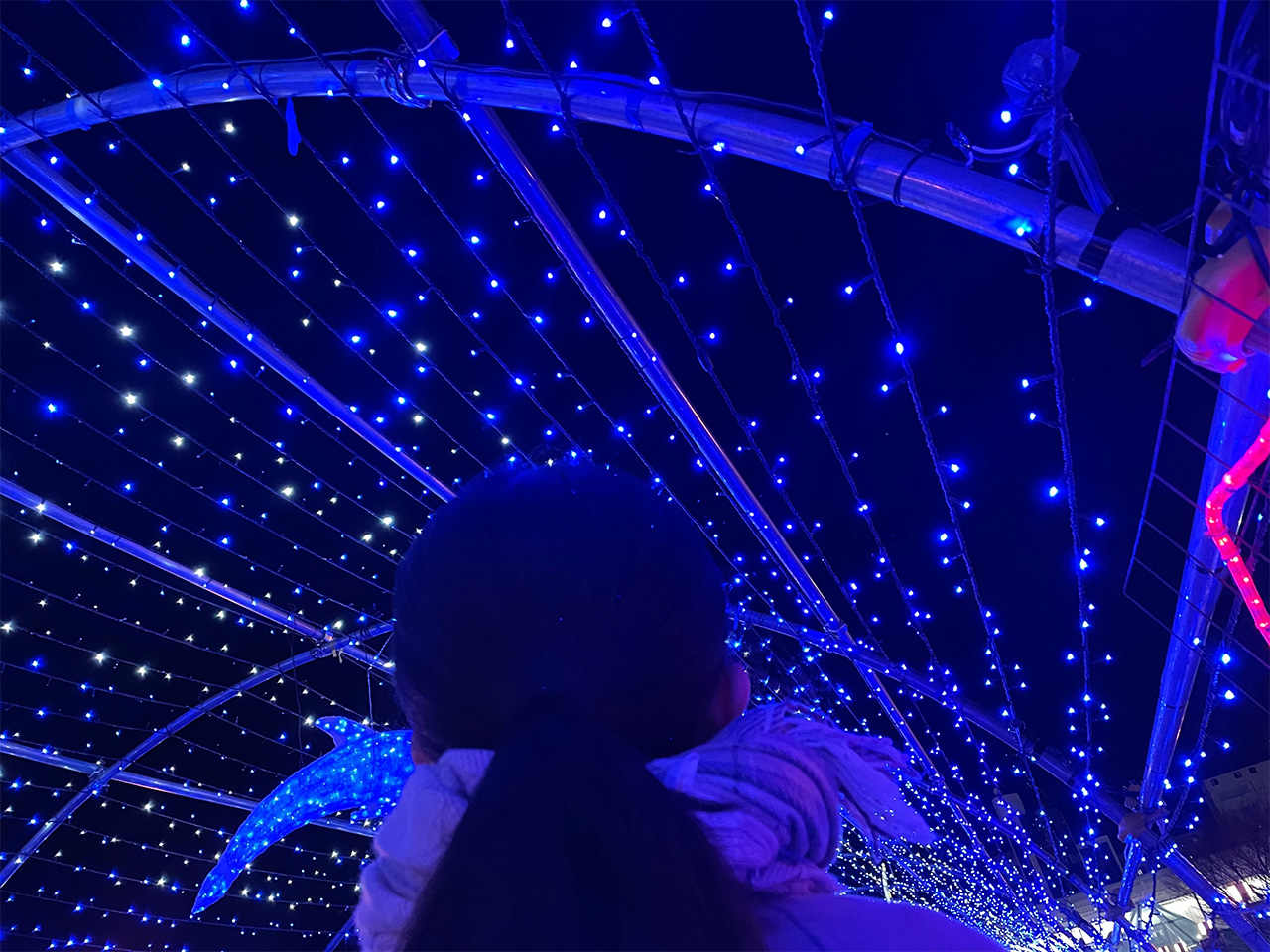 20250108nchu.jpg