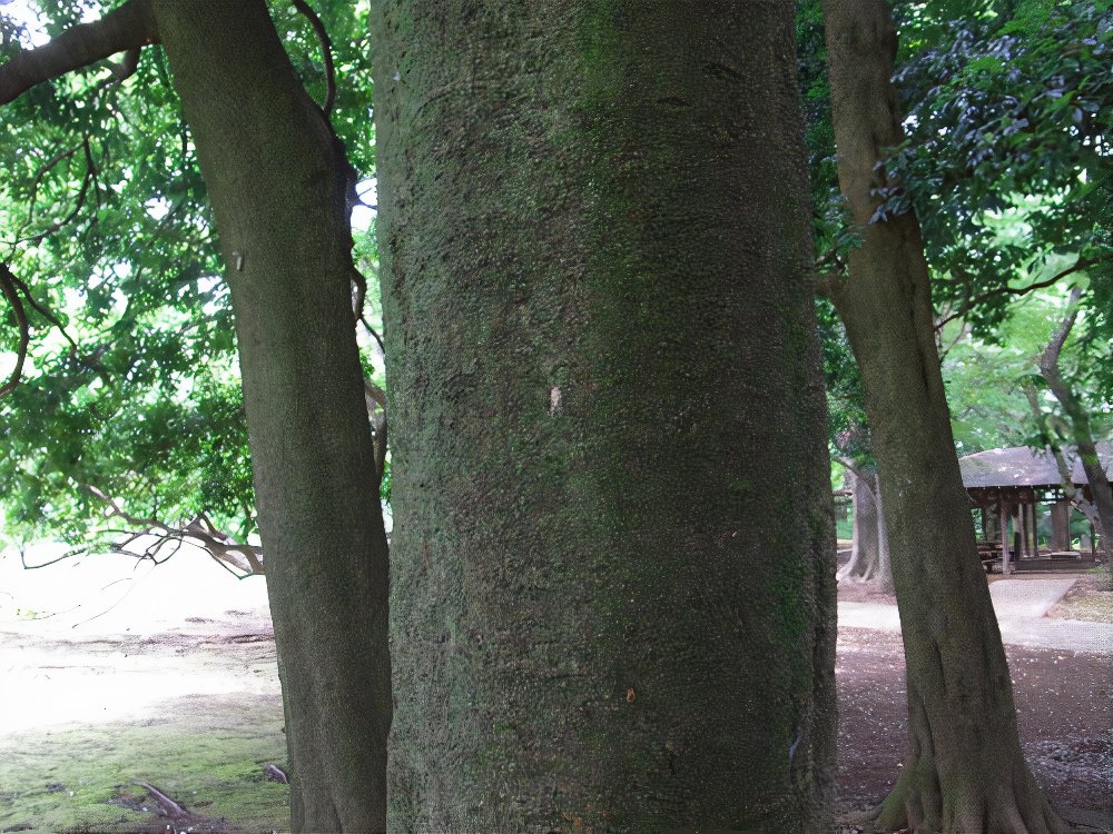 23_photos_v2_x2.jpg