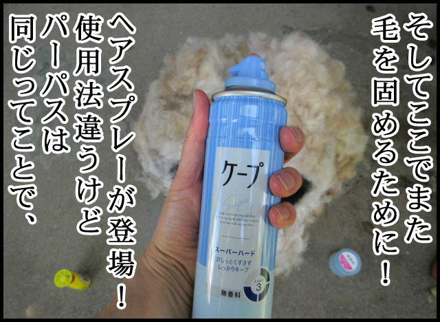 b12.jpg