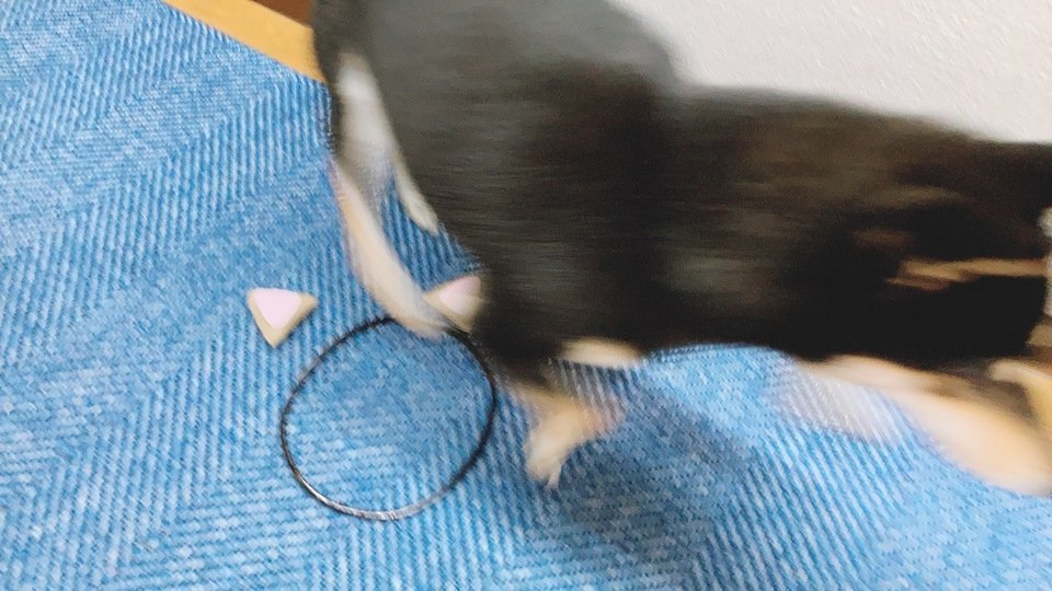 packing_17.jpg