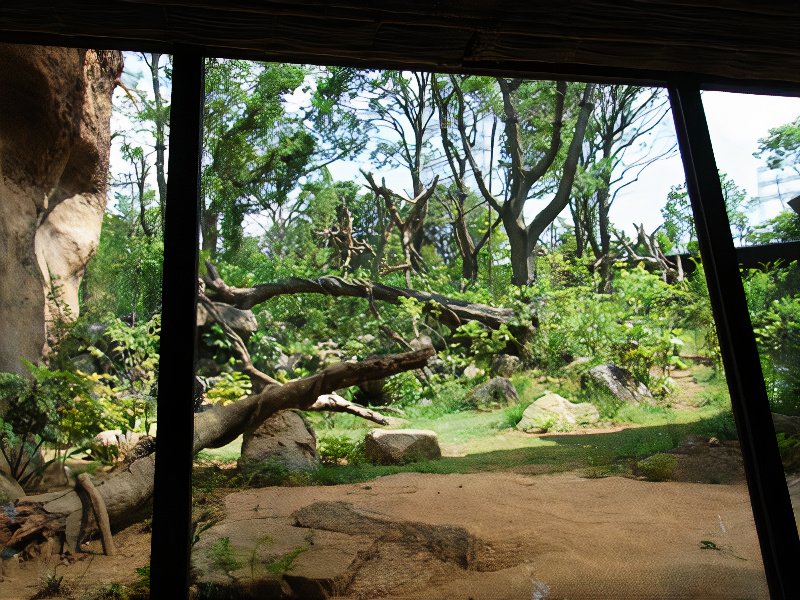 08_photos_v2_x2.jpg