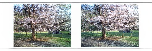 3DMG0013-topaz-standard v2-640w.jpg