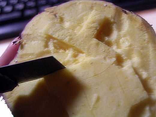 RIMG3404-topaz-standard v2-2x.jpg