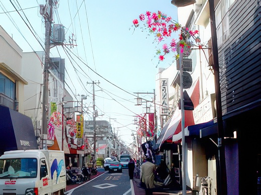 2-3-topaz-standard v2-2x.jpg