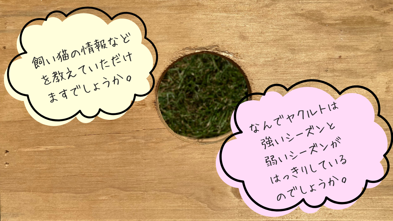 29269526＿質問箱.png