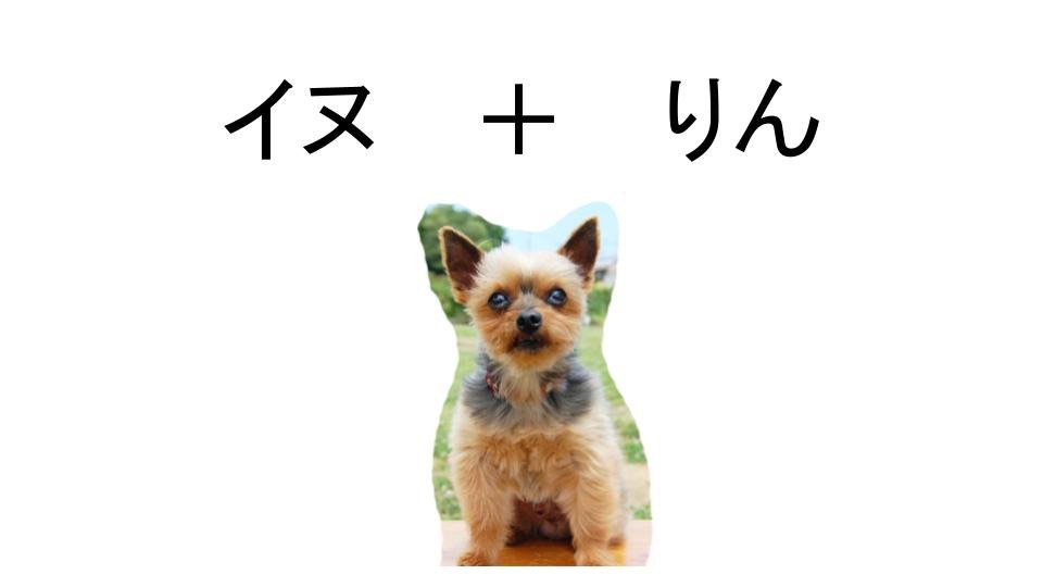 イヌリンのかわいさ.jpg