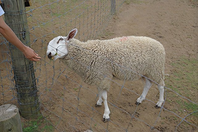 047 (1)_photos_v2_x2.jpg