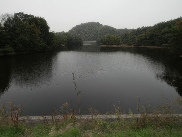 030-topaz-standard v2-640w.jpg