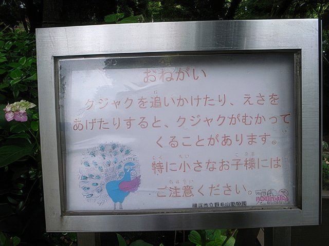 014-topaz-standard v2-640w.jpg