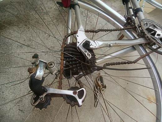 RIMG5851-topaz-standard v2-2x.jpg