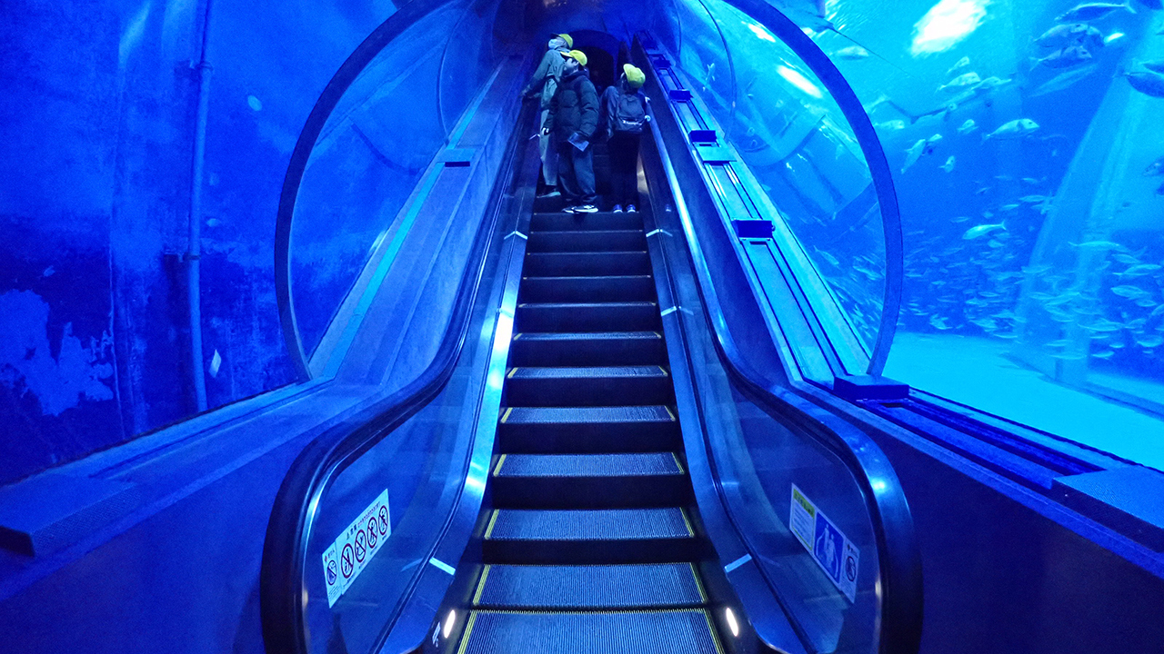 P2282186.jpg