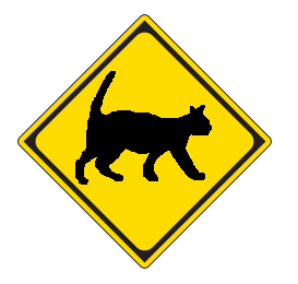 neko.png