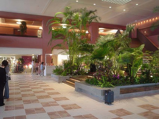 40-topaz-standard v2-2x.jpg