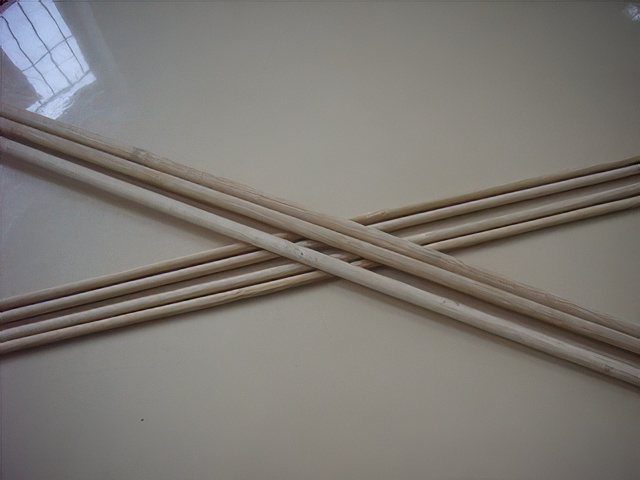 RIMG10156-topaz-standard v2-2x.jpg