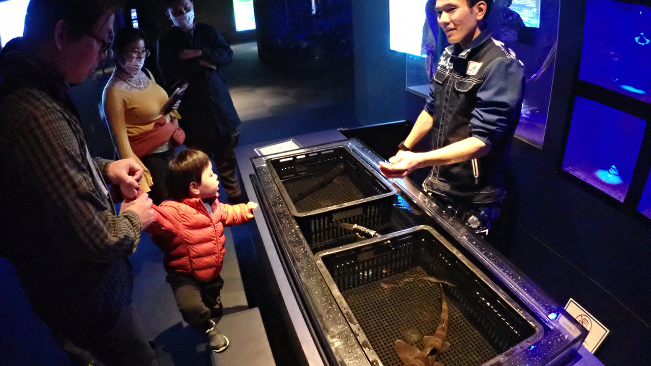 P2282306.jpg