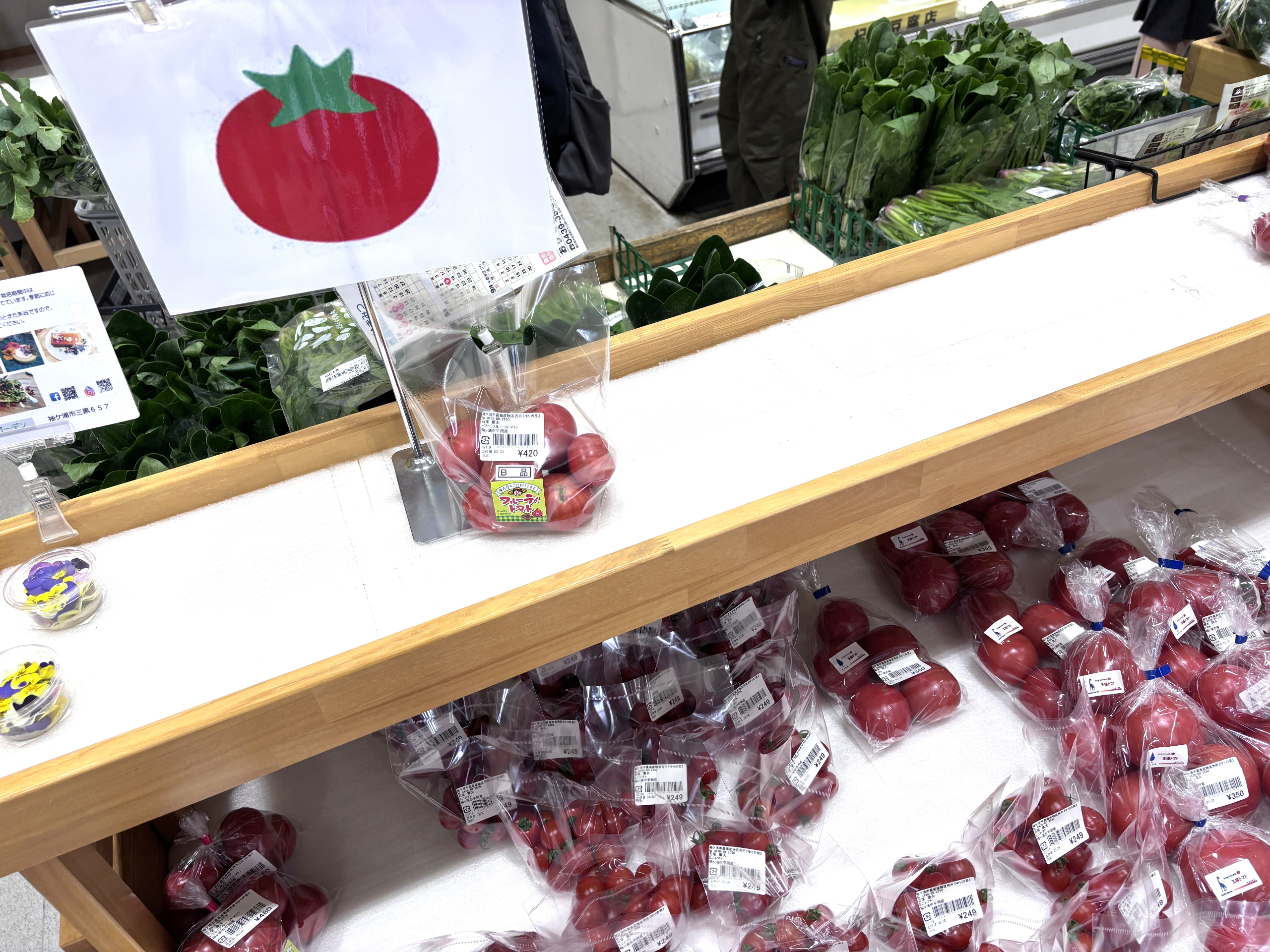 20260425朝エッセイ (5).jpeg