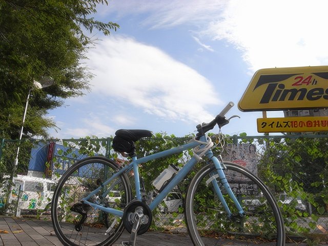 RIMG9259-topaz-standard v2-640w.jpg