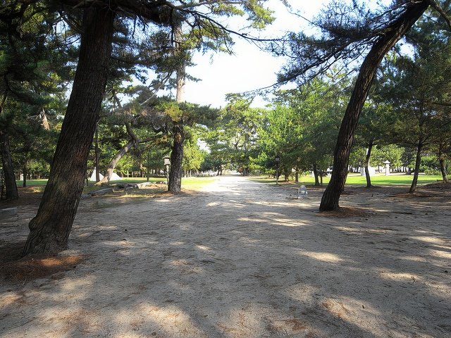 RIMG10161-topaz-standard v2-640w.jpg