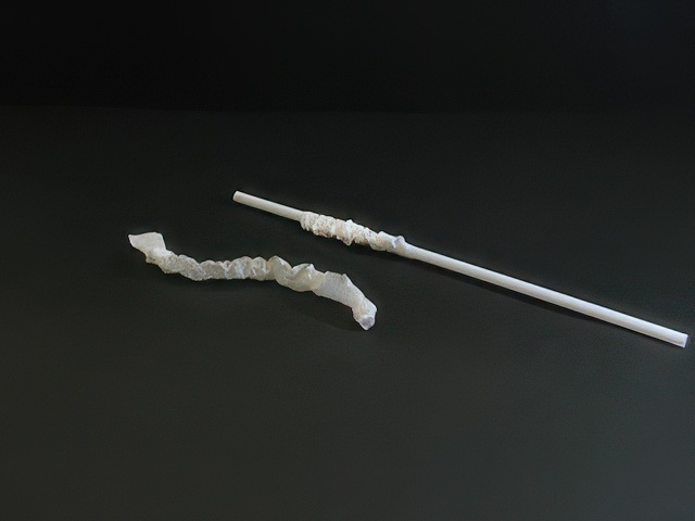 IMG_8224-topaz-standard v2-2x.jpg