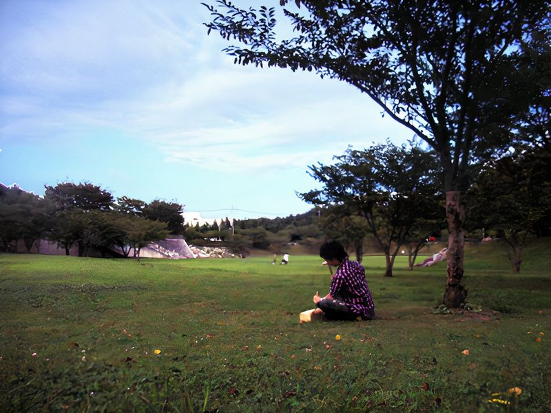 itto_110_auto_x2.jpg