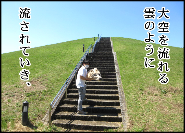 c05.jpg