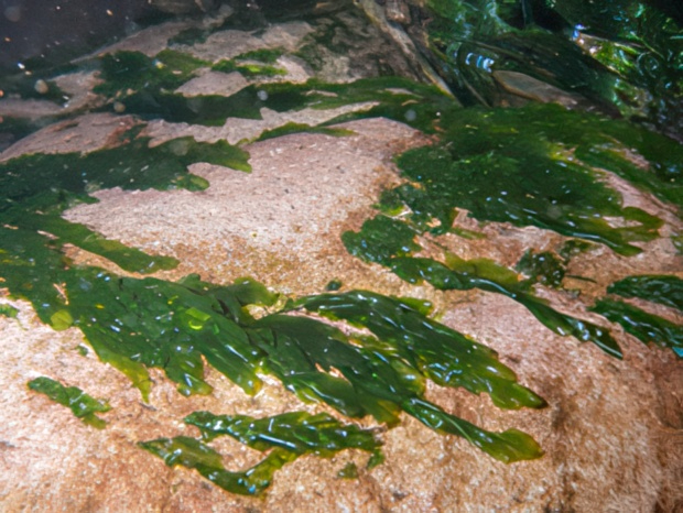 IMGP4543-topaz-low resolution v2-2x.jpg