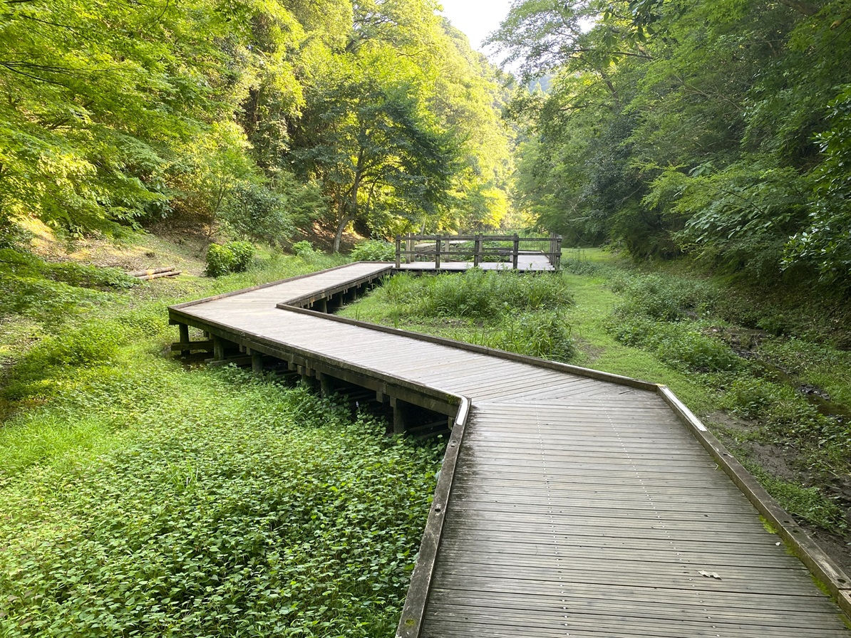 image15.jpg