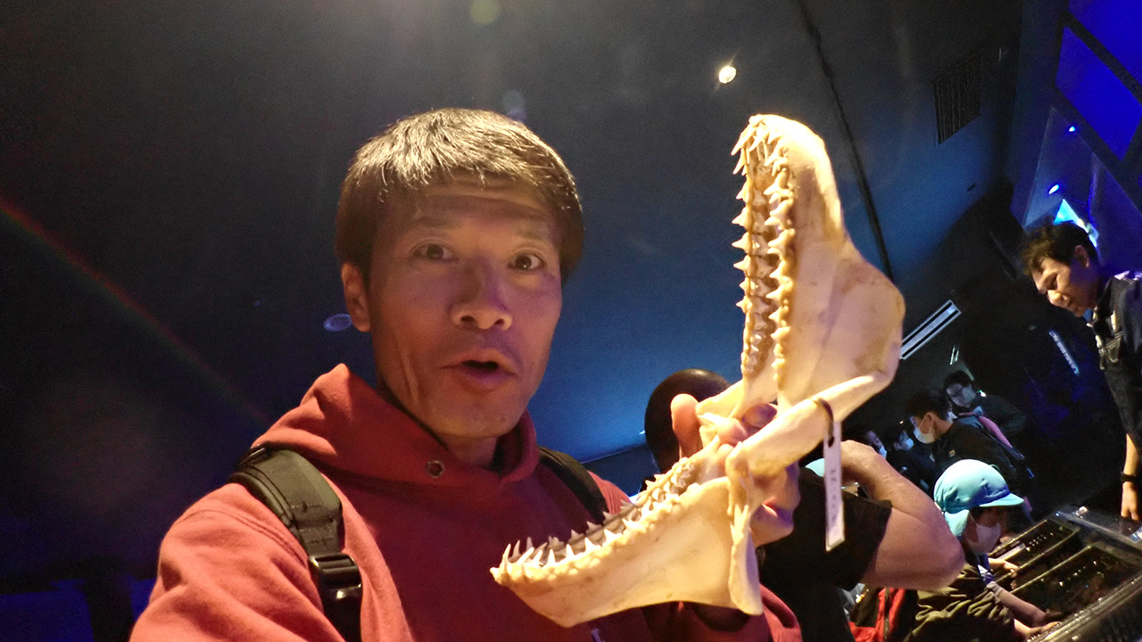 P2282335.jpg