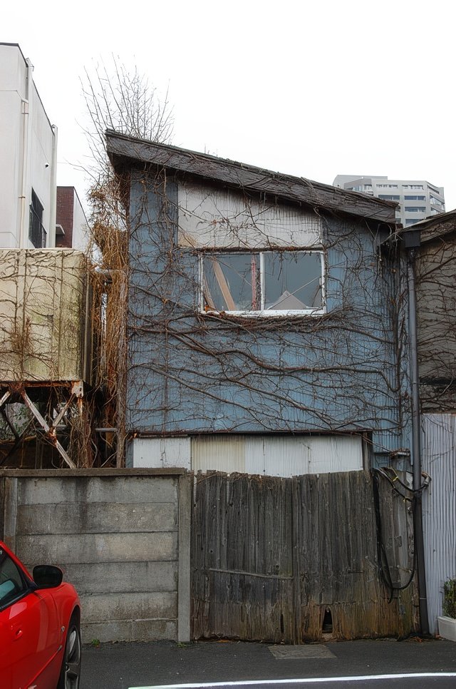 DSC_0268-topaz-standard v2-640w.jpg