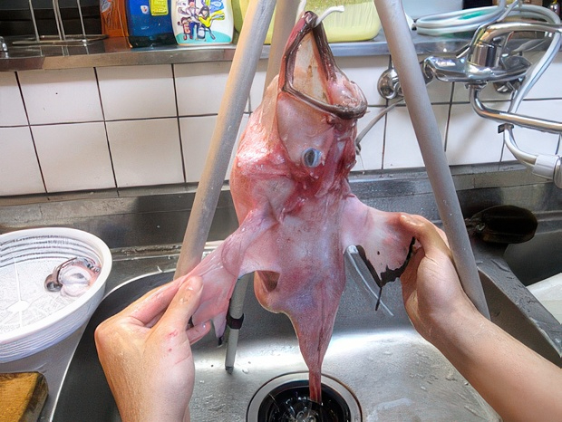 IMG_4431-topaz-standard v2-2x.jpg