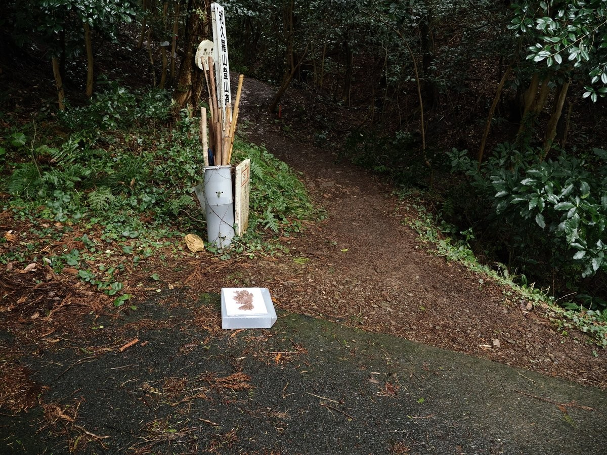 image_s013.jpg