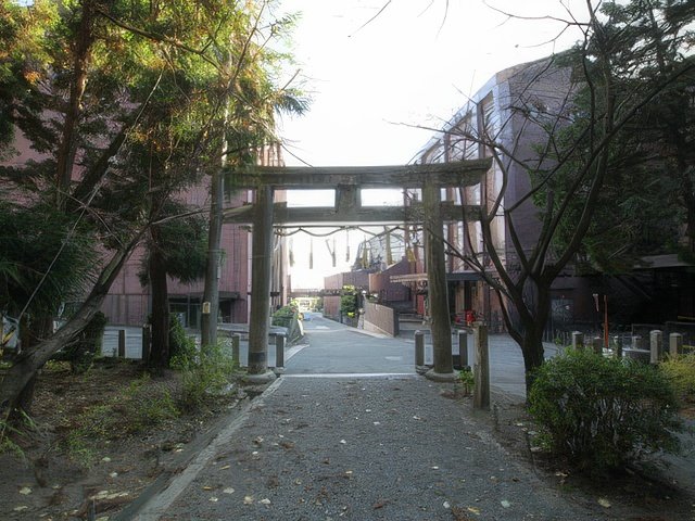 046-topaz-standard v2-640w.jpg