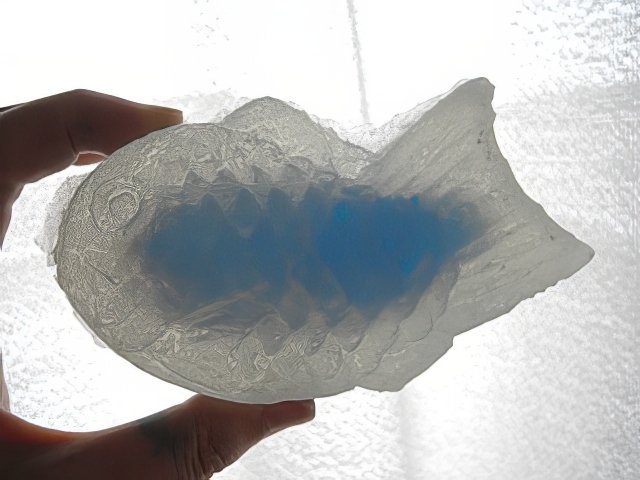 RIMG12340-topaz-low resolution-640w.jpg