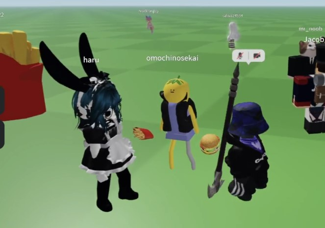 koga.jpg