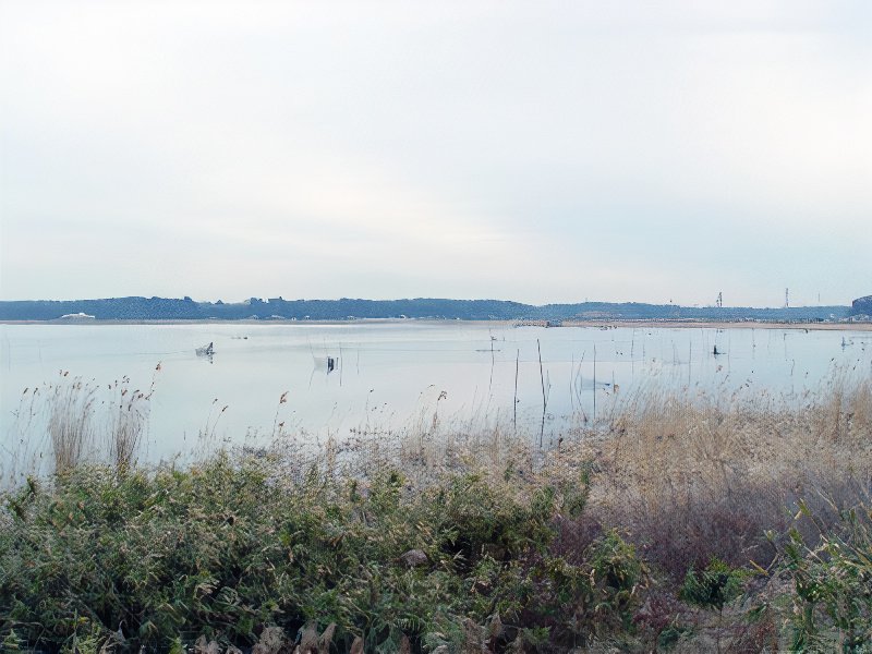 010_photos_v2_x2.jpg