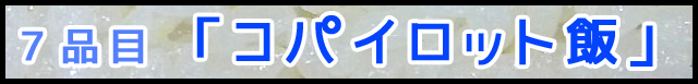 t07.jpg