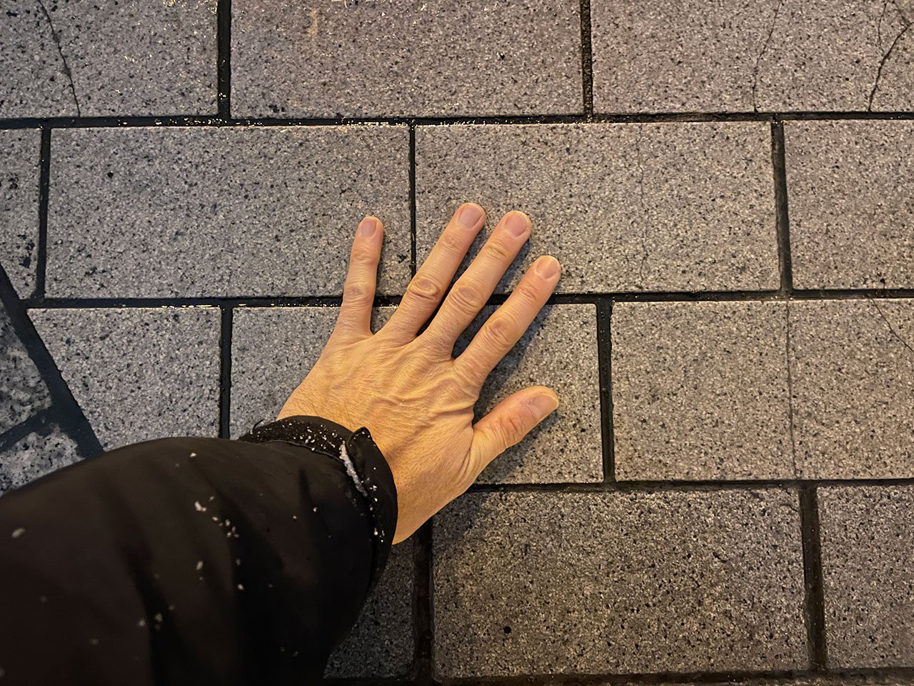 0016.jpg