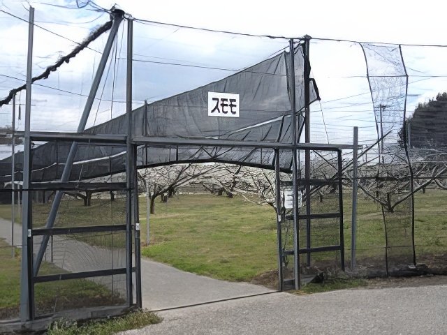 RIMG12132-topaz-low resolution-640w.jpg