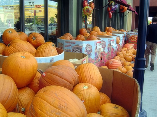 20-topaz-standard v2-2x.jpg